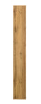 DeckUp Siam Engineered Wood Book Shelf and Display Unit (Wotan Oak & White, Matte Finish)