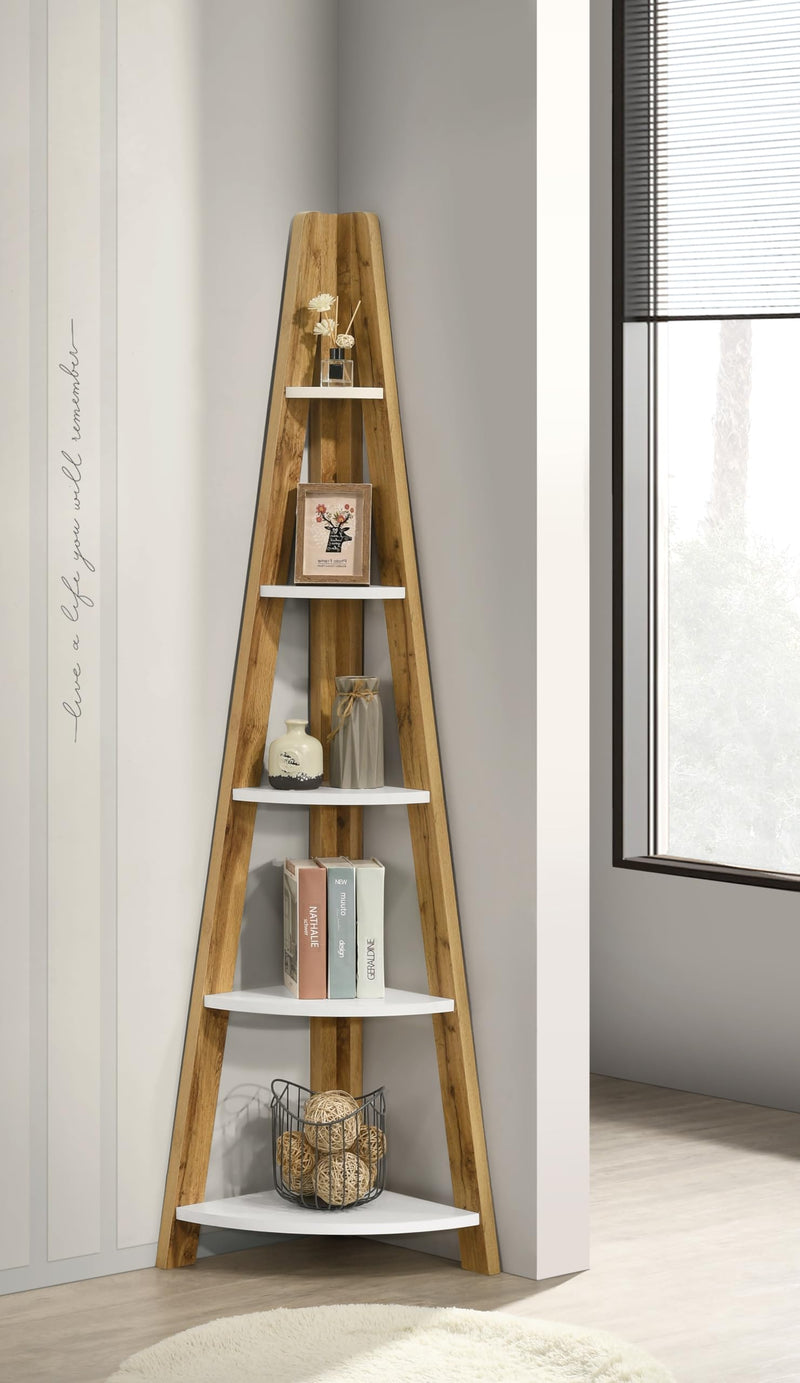 DeckUp Tiva Engineered Wood Corner Ladder Book Shelf