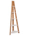 DeckUp Tiva Engineered Wood Corner Ladder Book Shelf