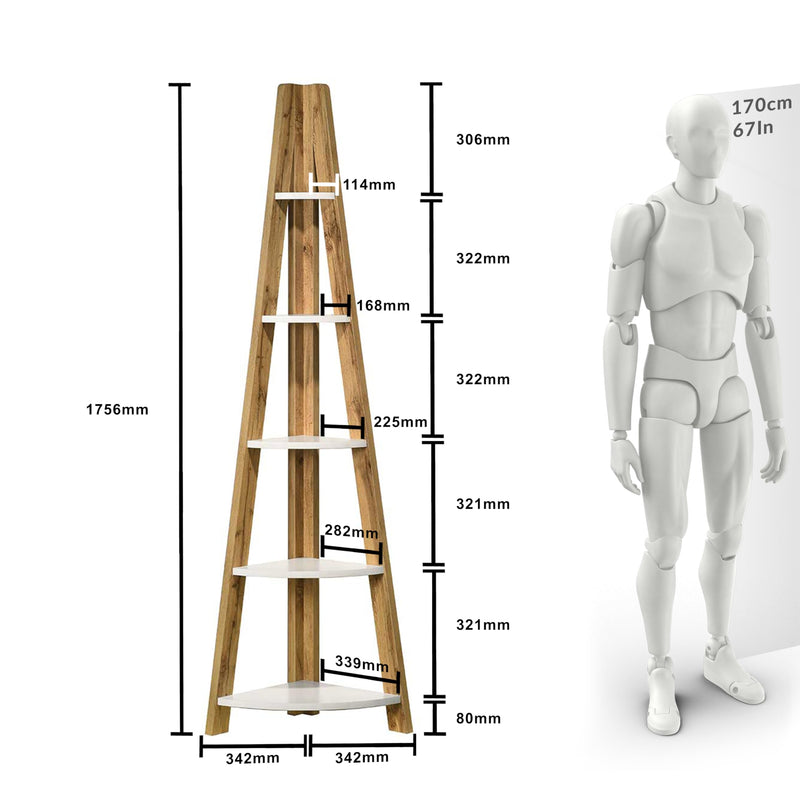 DeckUp Tiva Engineered Wood Corner Ladder Book Shelf