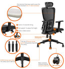 Deckup Zeus High Back Executive Mesh Office Chair (Black, BIFMA Certified, 3 Years Warranty)