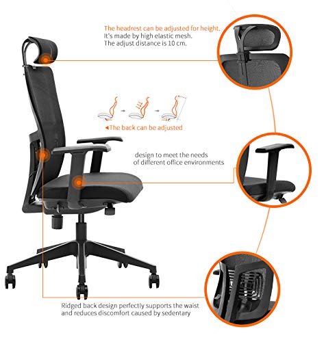 Deckup Zeus High Back Executive Mesh Office Chair (Black, BIFMA Certified, 3 Years Warranty)