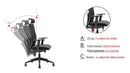 Deckup Zeus High Back Executive Mesh Office Chair (Black, BIFMA Certified, 3 Years Warranty)