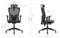 Deckup Zeus High Back Executive Mesh Office Chair (Black, BIFMA Certified, 3 Years Warranty)