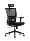 Deckup Apollo High Back Executive Mesh Office Chair (Black, BIFMA Certified, 3 Years Warranty)