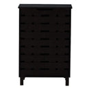 DeckUp Meritus-S 2-Door Engineered Wood Shoe Rack (Dark Wenge, Matte Finish)