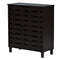 DeckUp Meritus-L 2-Door Engineered Wood Shoe Rack (Dark Wenge, Matte Finish)