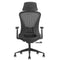 Deckup Athena High Back Executive Mesh Office Chair (Black, BIFMA Certified,3 Years Warranty)